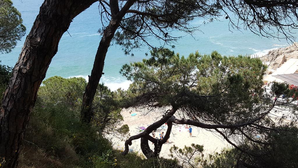 Apartamento Mediterraneo Pineda de Mar Eksteriør bilde