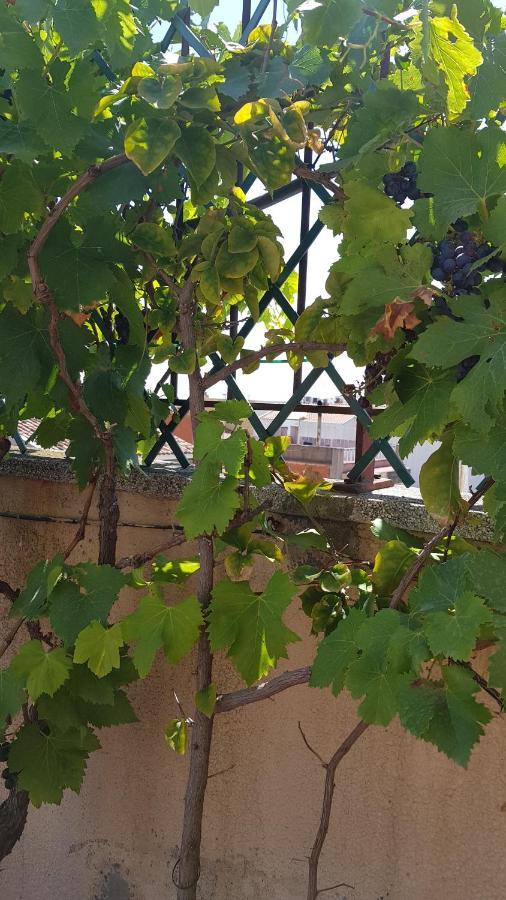 Apartamento Mediterraneo Pineda de Mar Eksteriør bilde